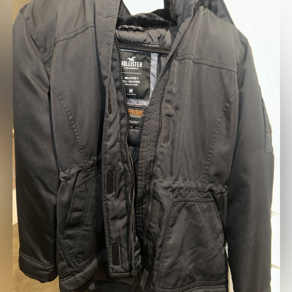 Hollister Winter Jacket